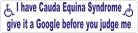 Cauda Equina Syndrome Car Parking Sticker
